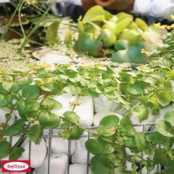 Hochteich Bausatz Durchmesser 92 cm Höhe 40 cm inkl Teich