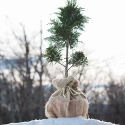 Jute-Sack 60 x 100 cm