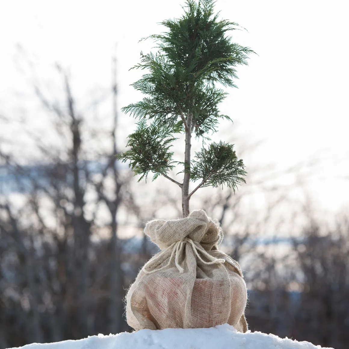 Jute-Sack 60 x 100 cm