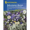 Kiepenkerl Balkonkastenblumen Meeresrauschen Profi-Line