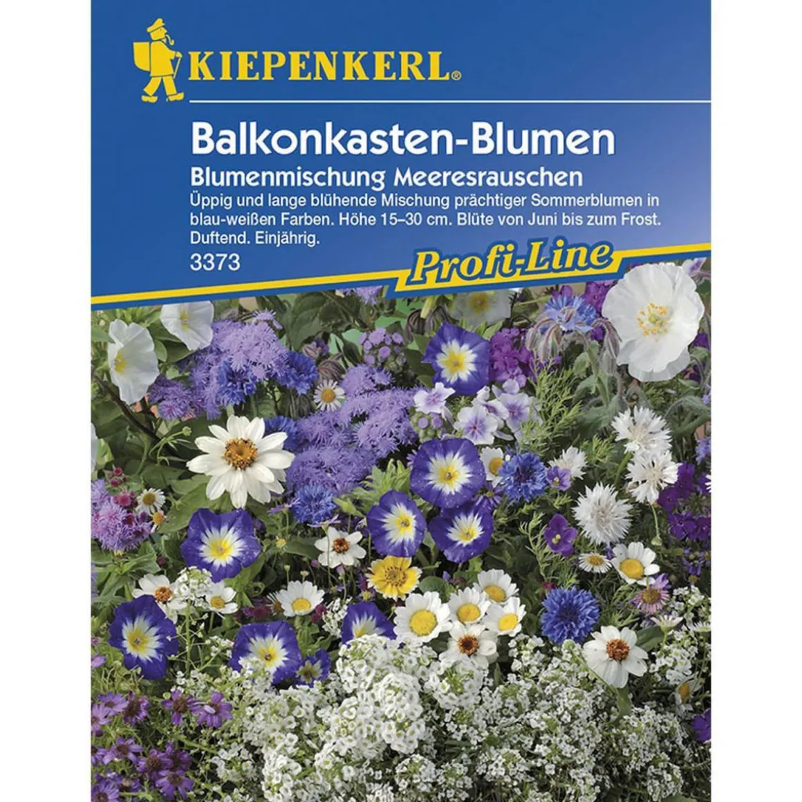 Kiepenkerl Balkonkastenblumen Meeresrauschen Profi-Line