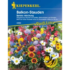 Kiepenkerl Balkon-Stauden-Mix Baristo