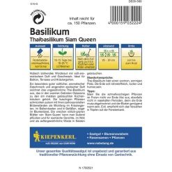 Kiepenkerl Basilikum Siam Queen Profi-Line
