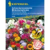 Kiepenkerl Blütensymphonie Schneckenresistent
