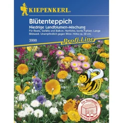 Kiepenkerl Blütenteppich Mischung einjährig Profi-Line