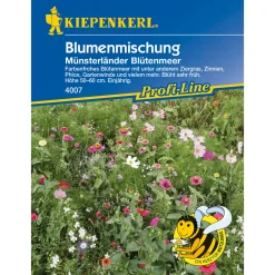 Kiepenkerl Blumenmischung Münsterländer Blütenmeer