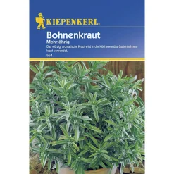 Kiepenkerl Bohnenkraut mehrjährig