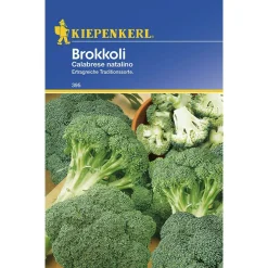 Kiepenkerl Brokkoli Calabrese natalino