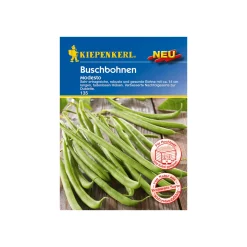 Kiepenkerl Buschbohne Modesto