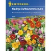 Kiepenkerl Duftblumenmischung niedrige Duftender Steingarten Profi-Line