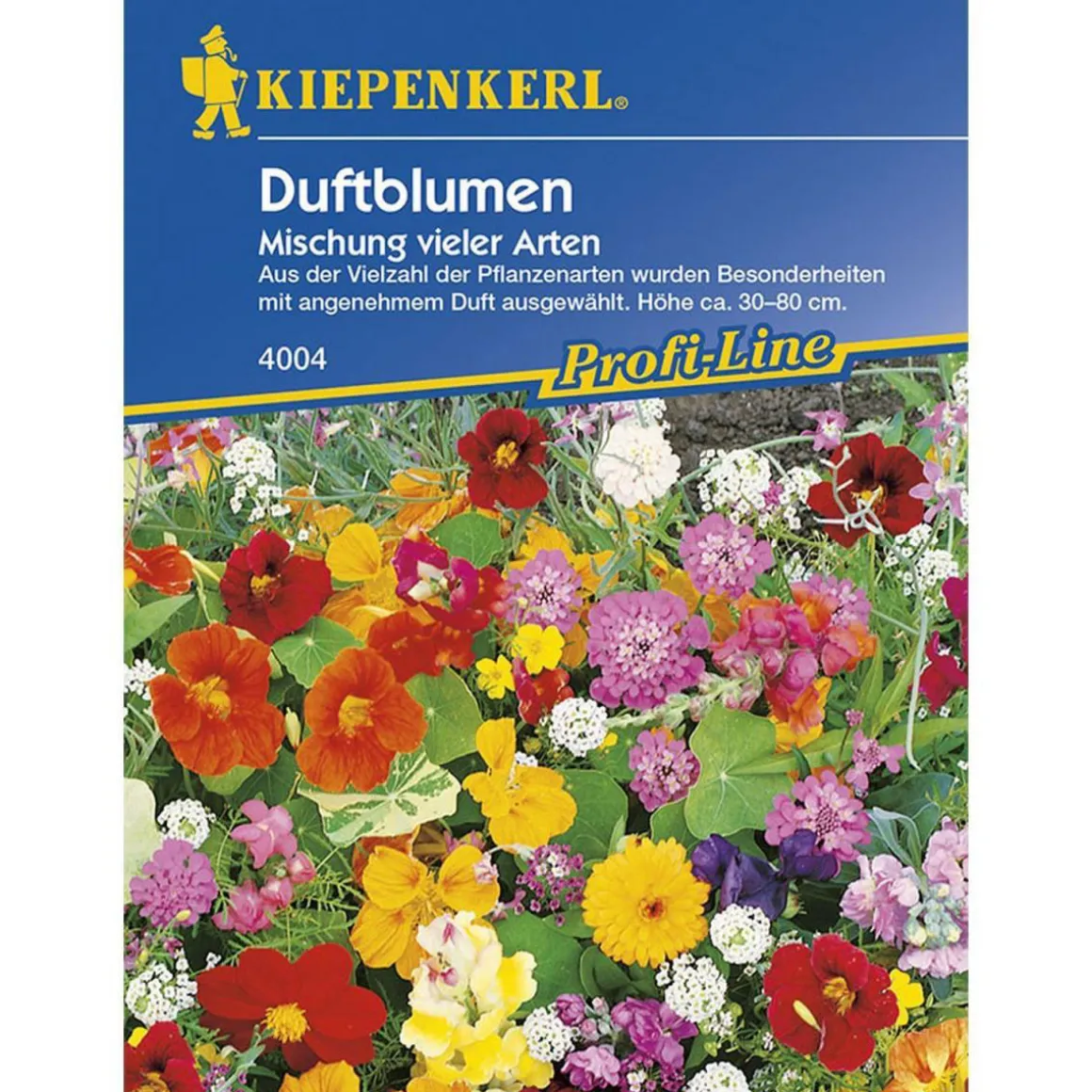 Kiepenkerl Duftblumenmischung einjährig Profi-Line