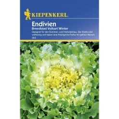 Kiepenkerl Endivien Breedblad Volhart Winter