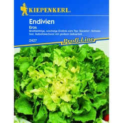 Kiepenkerl Endivien Eros