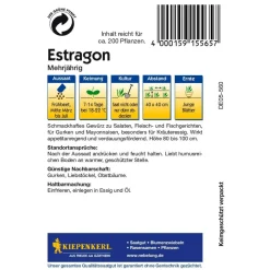 Kiepenkerl Estragon mehrjährig