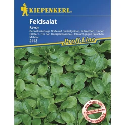 Kiepenkerl Feldsalat Favor Profi-Line
