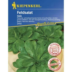 Kiepenkerl Feldsalat Gala Profi-Line
