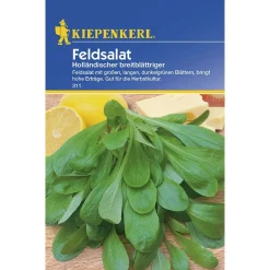 Kiepenkerl Feldsalat Holl breitblättriger