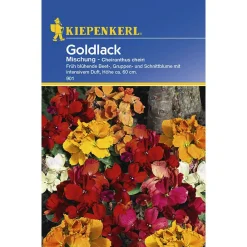 Kiepenkerl Goldlack Mischung