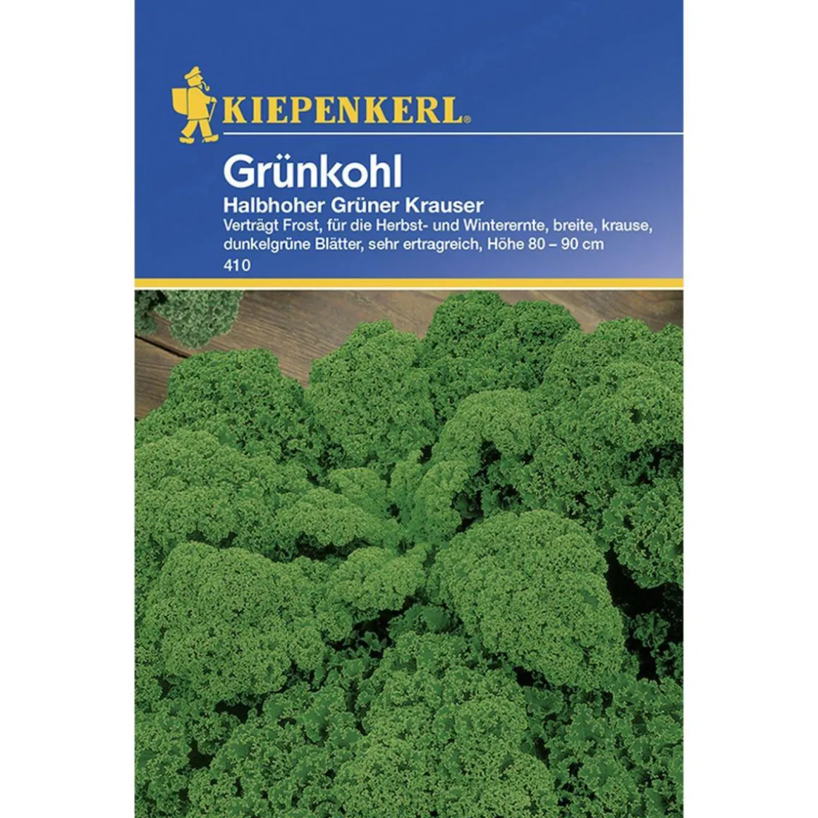 Kiepenkerl Grünkohl Halbhoher grüner krauser