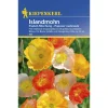 Kiepenkerl Islandmohn Pastellmischung