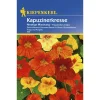 Kiepenkerl Kapuzinerkresse niedrige Mischung
