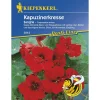Kiepenkerl Kapuzinerkresse Sangria Profi-Line