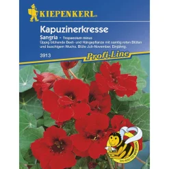 Kiepenkerl Kapuzinerkresse Sangria Profi-Line