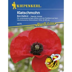 Kiepenkerl Klatschmohn Papaver rhoeas Profi-Line