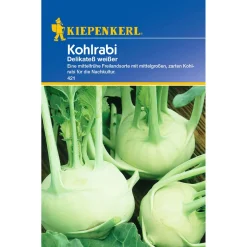 Kiepenkerl Kohlrabi Delikateß weiß
