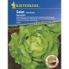 Kiepenkerl Kopfsalat Dynamite Profi-Line