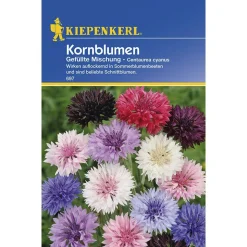 Kiepenkerl Kornblumen Centaurea