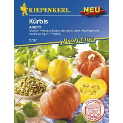 Kiepenkerl Kürbis ´Amoro´
