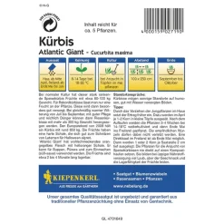 Kiepenkerl Kürbis Atlantic Giant F1 Profi-Line