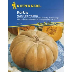 Kiepenkerl Kürbis Muscat de Provence Profi-Line