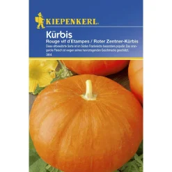 Kiepenkerl Kürbis Rouge vif dEtampes