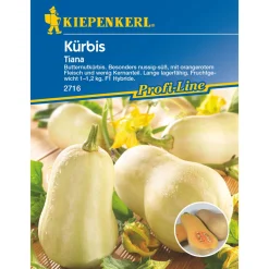 Kiepenkerl Kürbis Tiana