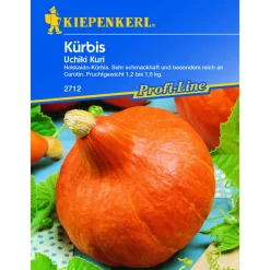 Kiepenkerl Kürbis Uchiki Kuri
