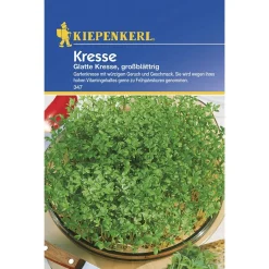 Kiepenkerl Kresse glatte großblättrig