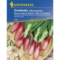 Kiepenkerl Lauchzwiebeln Rossa Lunga di Firenze Profi-Line