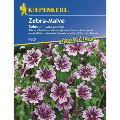 Kiepenkerl Malve Zebrina Profi-Line