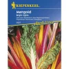 Kiepenkerl Mangold Bright Lights Profi-Line