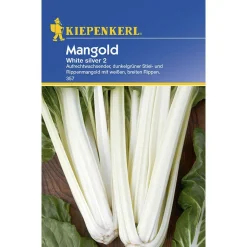 Kiepenkerl Mangold White Silver 2