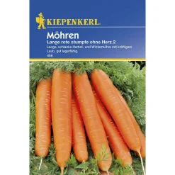 Kiepenkerl Möhren Lange rote stumpfe ohne Herz 2