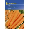 Kiepenkerl Möhren Nantaise 2