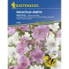 Kiepenkerl Moschus-Malven-Mix