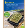 Kiepenkerl Nachfüllpads für Micro Green Garden BIO Senf