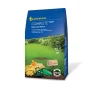 Kiepenkerl Nachsaat-Rasen Complete 250 g