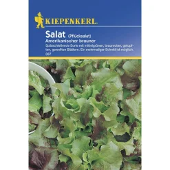 Kiepenkerl Pflücksalat Amerikanischer brauner