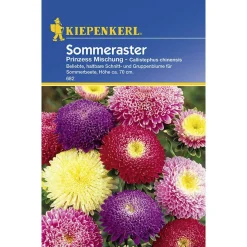 Kiepenkerl Prinzeß-Aster Callistephus Mischung