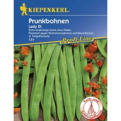 Kiepenkerl Prunkbohnen Lady Di